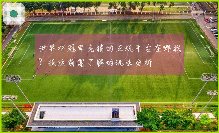 世界杯冠军竞猜的正规平台在哪找?投注前需了解的玩法分析