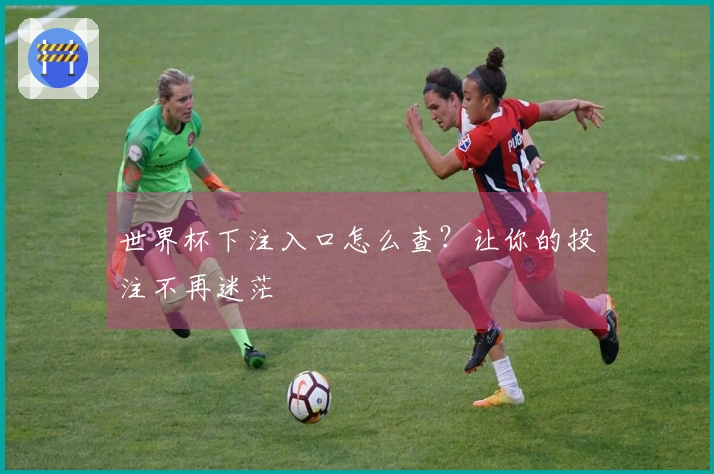 世界杯下注入口怎么查?让你的投注不再迷茫